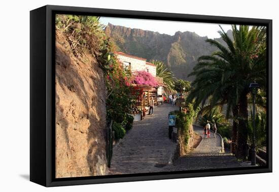 Street in Masca, Tenerife, Canary Islands, 2007-Peter Thompson-Framed Stretched Canvas