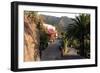 Street in Masca, Tenerife, Canary Islands, 2007-Peter Thompson-Framed Photographic Print