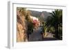 Street in Masca, Tenerife, Canary Islands, 2007-Peter Thompson-Framed Photographic Print