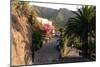 Street in Masca, Tenerife, Canary Islands, 2007-Peter Thompson-Mounted Photographic Print