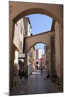 Street in Old Town, Saint-Tropez, Var, Provence-Alpes-Cote D'Azur, Provence, France, Europe-Stuart Black-Mounted Photographic Print