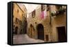 Street in Old Town, Volterra, Tuscany, Italy, Europe-Peter Groenendijk-Framed Stretched Canvas