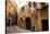 Street in Old Town, Volterra, Tuscany, Italy, Europe-Peter Groenendijk-Stretched Canvas