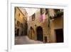 Street in Old Town, Volterra, Tuscany, Italy, Europe-Peter Groenendijk-Framed Photographic Print