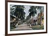 Street in Port Blair, Andaman and Nicobar Islands, Indian Ocean, C1890-Gillot-Framed Giclee Print