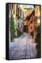 Street in Spello, Italy-Terry Eggers-Framed Stretched Canvas