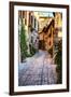 Street in Spello, Italy-Terry Eggers-Framed Premium Photographic Print