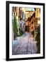 Street in Spello, Italy-Terry Eggers-Framed Premium Photographic Print