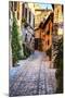 Street in Spello, Italy-Terry Eggers-Mounted Premium Photographic Print