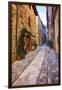 Street in Spello, Italy-Terry Eggers-Framed Premium Photographic Print