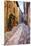 Street in Spello, Italy-Terry Eggers-Mounted Premium Photographic Print