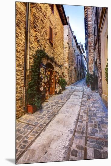 Street in Spello, Italy-Terry Eggers-Mounted Premium Photographic Print