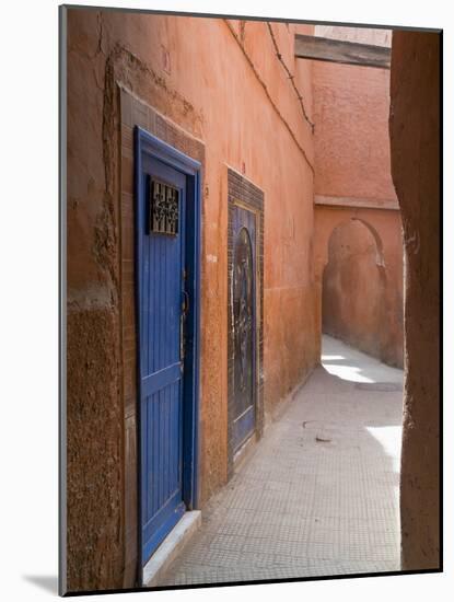 Street in the Souk in the Medina, UNESCO World Heritage Site, Marrakech, Morocco, North Africa-Nico Tondini-Mounted Photographic Print