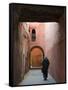 Street in the Souk, Medina, Marrakech (Marrakesh), Morocco, North Africa, Africa-Nico Tondini-Framed Stretched Canvas