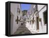 Street in the White Hill Village of Mijas, Costa Del Sol, Andalucia (Andalusia), Spain, Europe-Gavin Hellier-Framed Stretched Canvas