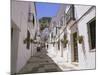 Street in the White Hill Village of Mijas, Costa Del Sol, Andalucia (Andalusia), Spain, Europe-Gavin Hellier-Mounted Photographic Print