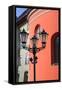 Street Lamp-JulietPhotography-Framed Stretched Canvas