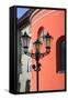 Street Lamp-JulietPhotography-Framed Stretched Canvas