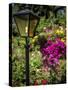 Street Lamp-J.D. Mcfarlan-Stretched Canvas