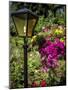 Street Lamp-J.D. Mcfarlan-Mounted Photographic Print