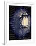 Street Lamp-Mindy Sommers-Framed Giclee Print