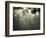 Street Lamps, Buenos Aires, Argentina, South America-Christian Kober-Framed Photographic Print