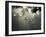 Street Lamps, Buenos Aires, Argentina, South America-Christian Kober-Framed Photographic Print