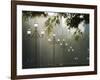 Street Lamps, Buenos Aires, Argentina, South America-Christian Kober-Framed Photographic Print