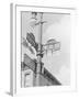 Street Light with Signs-null-Framed Photographic Print