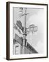 Street Light with Signs-null-Framed Photographic Print