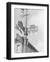 Street Light with Signs-null-Framed Photographic Print