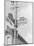 Street Light with Signs-null-Mounted Photographic Print