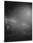 Street Lights in Fog-null-Stretched Canvas