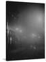 Street Lights in Fog-null-Stretched Canvas