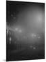 Street Lights in Fog-null-Mounted Photographic Print