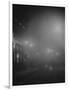 Street Lights in Fog-null-Framed Photographic Print