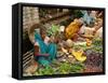 Street Market at Matiari, West Bengal, India-null-Framed Stretched Canvas