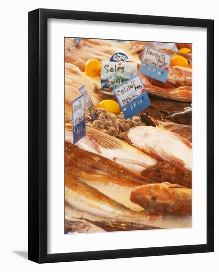 Street Market, Merchant's Stall with Fish, Sanary, Var, Cote d'Azur, France-Per Karlsson-Framed Photographic Print