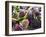 Street Market Stall with Sea Urchins Oursin, Sanary, Var, Cote d'Azur, France-Per Karlsson-Framed Premium Photographic Print