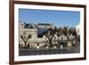 Street of Of Traditional Trullos (Trulli) in Alberobello-Martin-Framed Photographic Print