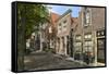 Street of Uniquely Individual Dutch Houses, Zuider Havendijk, Enkhuizen, North Holland, Netherlands-Peter Richardson-Framed Stretched Canvas