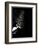 Street Performer-David Ridley-Framed Photographic Print