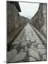 Street, Pompeii, Campania, Italy-Michael Newton-Mounted Photographic Print