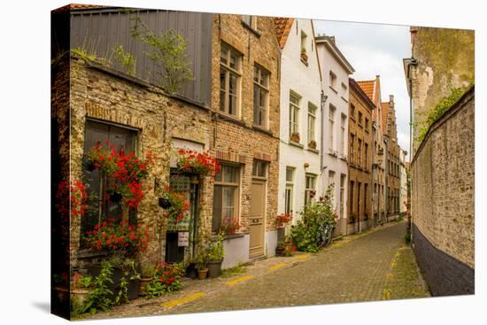 Street scene, Bruges, West Flanders, Belgium.-Michael DeFreitas-Stretched Canvas