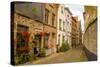 Street scene, Bruges, West Flanders, Belgium.-Michael DeFreitas-Stretched Canvas