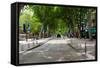 Street Scene, Cours Mirabeau, Aix-En-Provence, Bouches-Du-Rhone, Provence-Alpes-Cote D'Azur, France-null-Framed Stretched Canvas