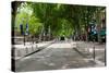 Street Scene, Cours Mirabeau, Aix-En-Provence, Bouches-Du-Rhone, Provence-Alpes-Cote D'Azur, France-null-Stretched Canvas