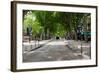 Street Scene, Cours Mirabeau, Aix-En-Provence, Bouches-Du-Rhone, Provence-Alpes-Cote D'Azur, France-null-Framed Photographic Print