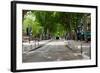 Street Scene, Cours Mirabeau, Aix-En-Provence, Bouches-Du-Rhone, Provence-Alpes-Cote D'Azur, France-null-Framed Photographic Print