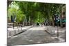 Street Scene, Cours Mirabeau, Aix-En-Provence, Bouches-Du-Rhone, Provence-Alpes-Cote D'Azur, France-null-Mounted Photographic Print